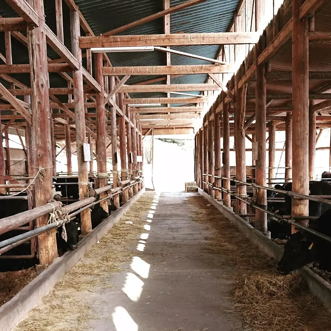 お客様に寄り添うまごころの配送対応